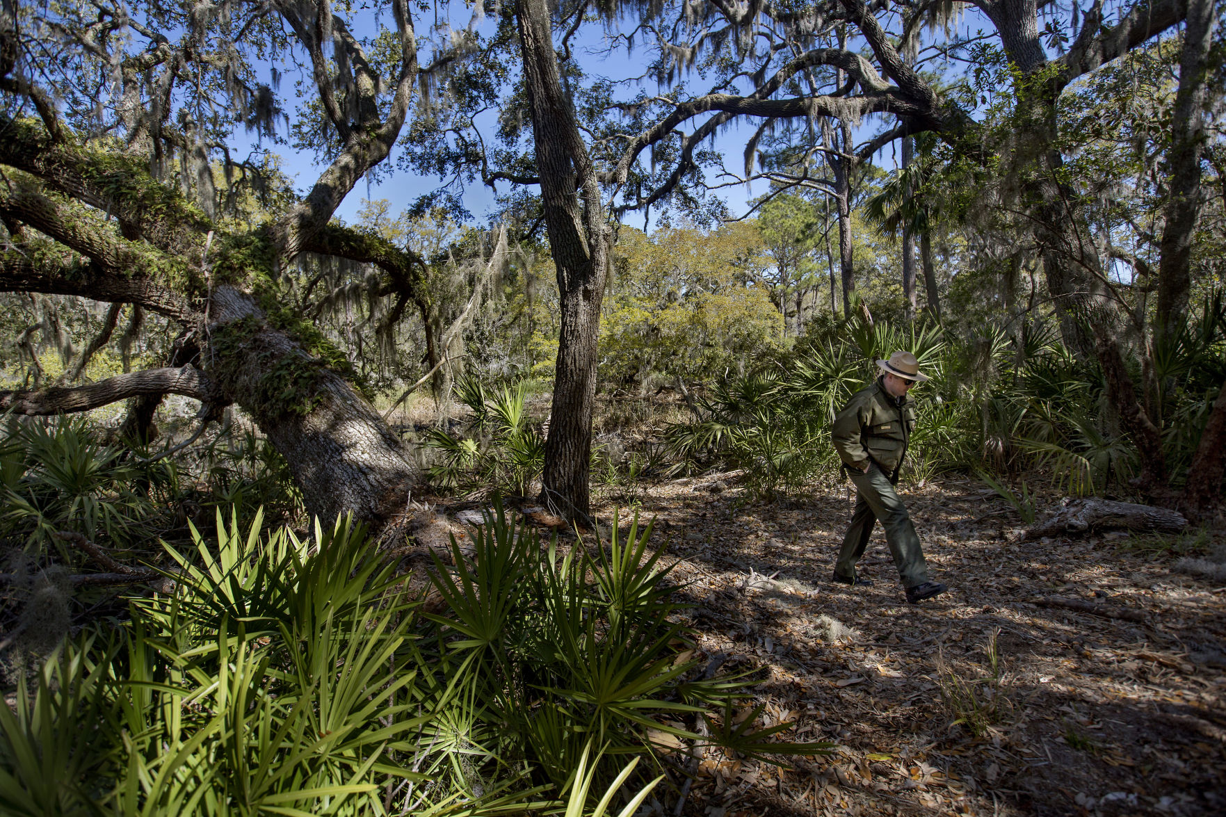 PRINT LEDE lede live oak ranger.jpg (copy)